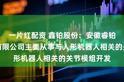 一片红配资 鑫铂股份：安徽睿铂智动机器人有限公司主要从事与人形机器人相关的关节模组开发