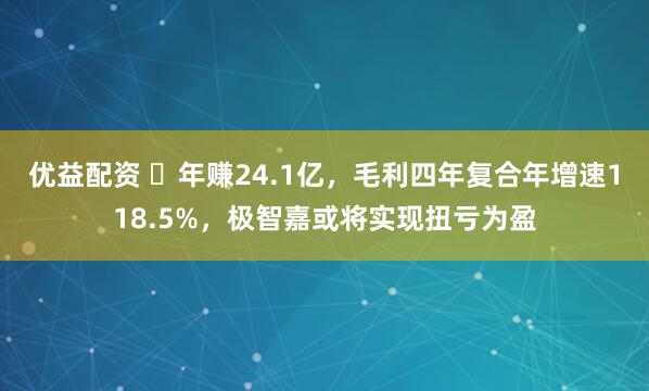 优益配资 ​年赚24.1亿，毛利四年复合年增速118.5%，极智嘉或将实现扭亏为盈
