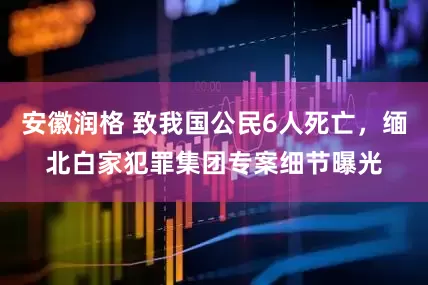 安徽润格 致我国公民6人死亡，缅北白家犯罪集团专案细节曝光