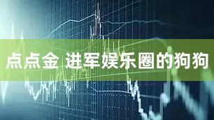 点点金 进军娱乐圈的狗狗