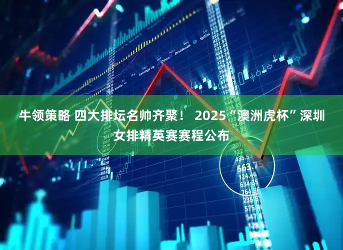 牛领策略 四大排坛名帅齐聚！ 2025“澳洲虎杯”深圳女排精英赛赛程公布