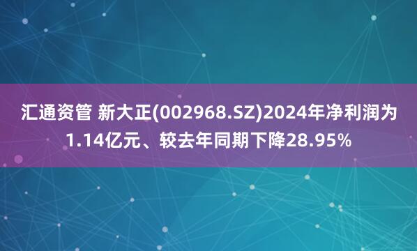 汇通资管 新大正(002968.SZ)2024年净利润为1.14亿元、较去年同期下降28.95%